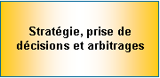 Zone de Texte: Stratgie, prise de dcisions et arbitrages