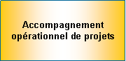 Zone de Texte: Accompagnement oprationnel de projets